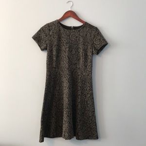 Loft shirt sleeve knit dress